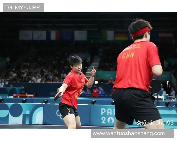 乒乓球盛宴：深入深圳乒乓球队的默契配合与训练秘辛