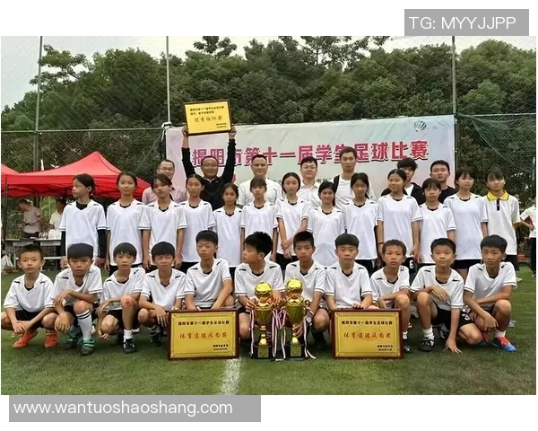 赛后分析:武汉足球队与西安足球队在战术灵活性上的较量与启示